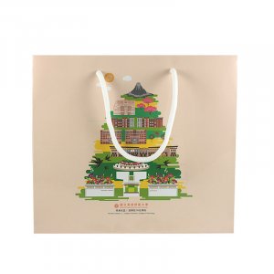 NKNU校園風光小手提紙袋